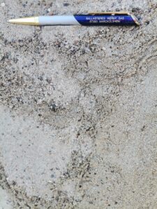Maçonnerie - Béton - Jardinage (Allègement de terre)